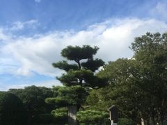 -名古屋城