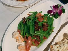 -云中小雅