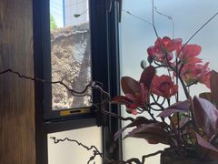 -花间一壶酒(桐荫街店)