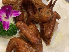 -鸽鸟轩(石岐店)