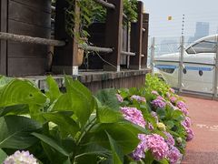 -上海港国际客运中心