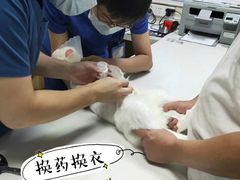 -康乐宝动物医院