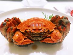 -扬州狮子楼·非遗淮扬菜(总店)