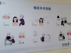 -雍禾植发