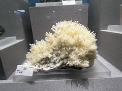 -贵州省地质博物馆