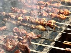 -周记老沈阳焦火鸡架