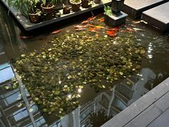 -绿房子方寸咖啡(星海名城店)