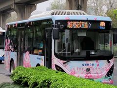 -高东镇樱花园