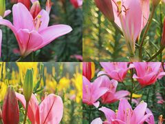 -长春公园(普阳街道)