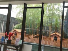 -上海崇明金茂凯悦酒店