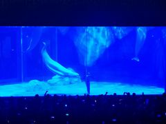 -上海海昌海洋公园-冰山北极馆