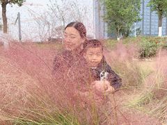 -映月湖中央公园
