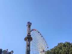 -温州乐园