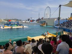 -秦皇岛乐岛海洋王国