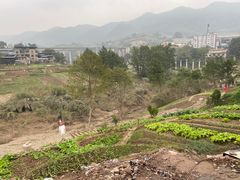 -春涛餐馆(下坝店)