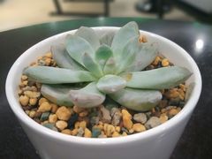 -青岛海尔洲际酒店