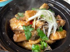 -金燕岛潮州酒楼