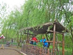 -溱湖国家湿地公园