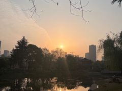 -堤角公园