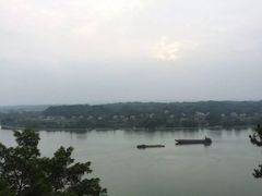 -枫林花海