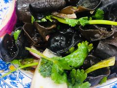 凉拌木耳-豫掌柜饸饹面·烩面(秀沿路店)