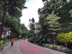 -狐尾山公园