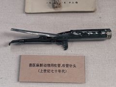 -北京动物园-畅观楼