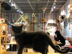 -小时光咖啡馆(开森度假森林店)