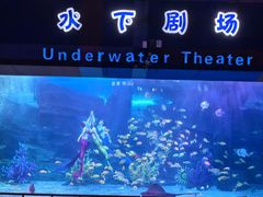 -泉城欧乐堡海洋极地世界