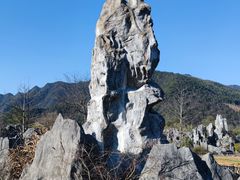 -千岛湖石林