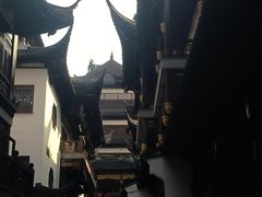 -沈大成(城隍庙店)
