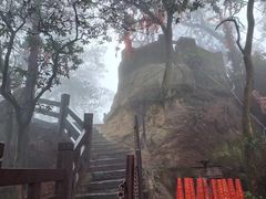 -缙云山景区
