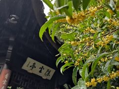 -杭州半山国家森林公园