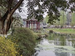 -温江公园