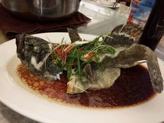 -清水湾3号(东方小周海鲜店)