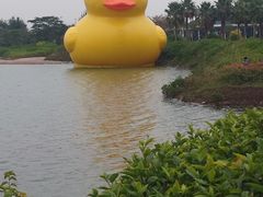 -深圳湾公园(南山区)