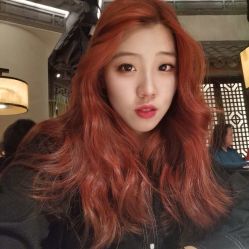 -潘多拉Hairsalon