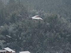 -杨家堂村