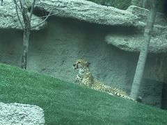 -北京野生动物园