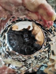 -JNK皮肤管理中心