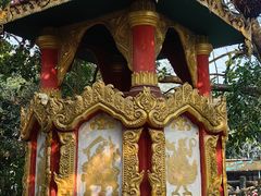 -瑞丽独树成林风景区