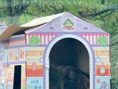 -青藏高原野生动物园