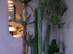 -Supine Bistro溯泮餐厅