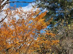 -叠溪松坪沟景区