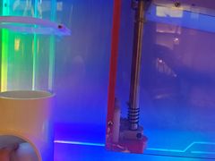 -童趣廊·儿童波波池·海洋球(长隆横琴湾酒店)