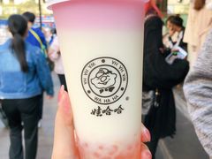 荔枝乳酸钙奶-娃哈哈·奶茶(武林店)