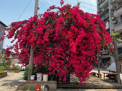 -春涛餐馆(下坝店)