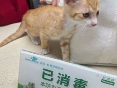 -虹泰宠物医院 ·旗舰店·24h(南秀路店)