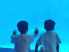 -海合安成都极地海洋公园