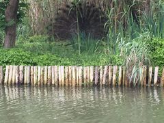 -溱湖国家湿地公园